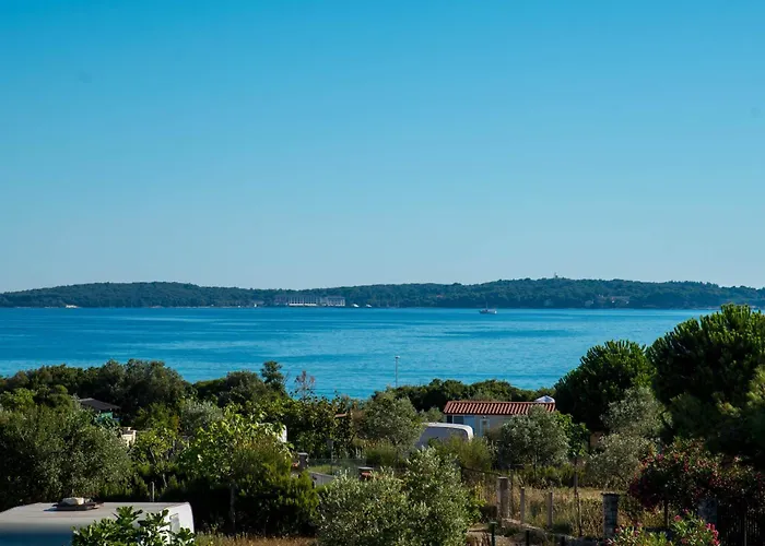 Teuta_commodious At The *